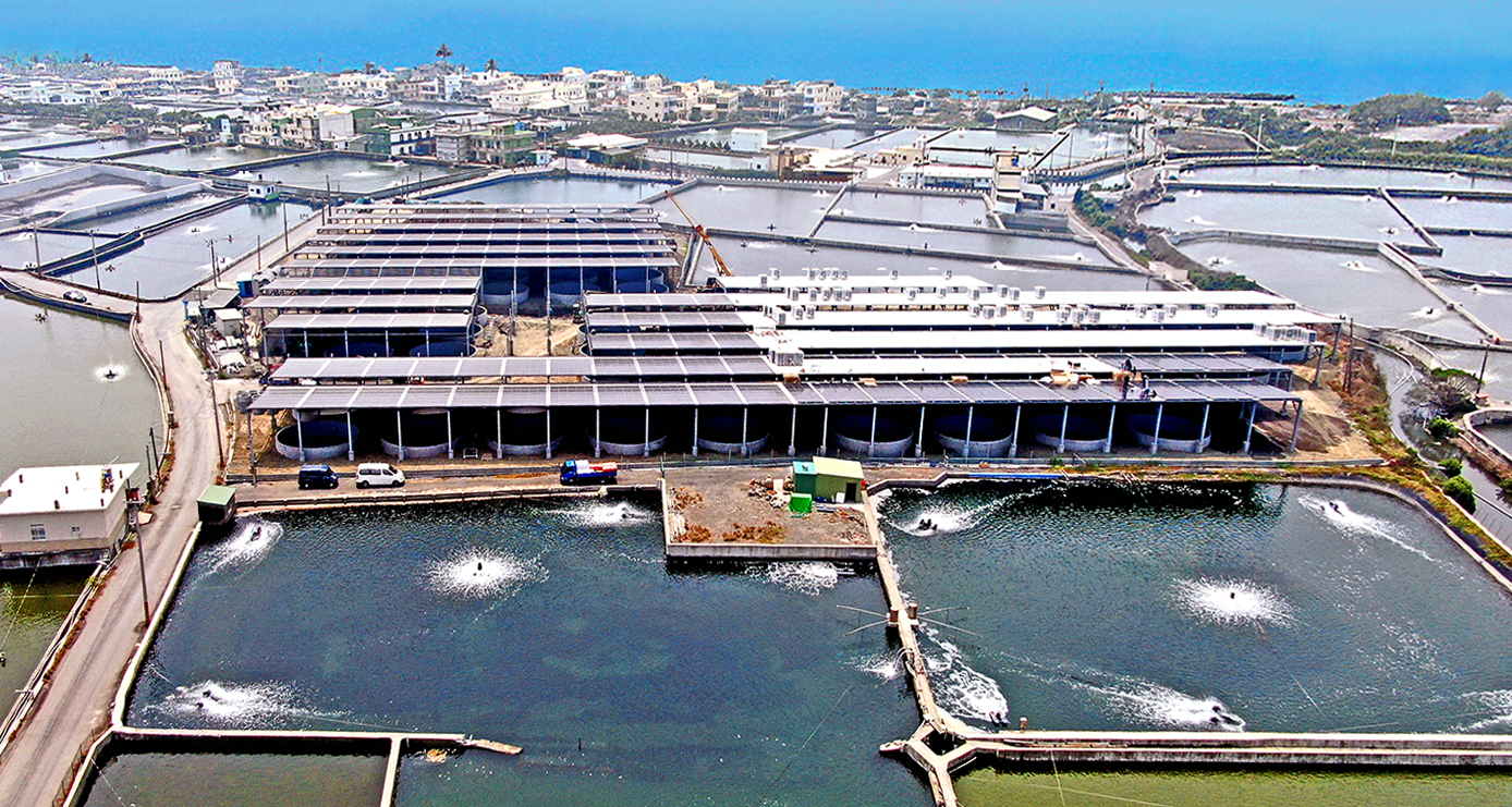 台湾屏东 枋寮乡渔电共生太阳能养殖