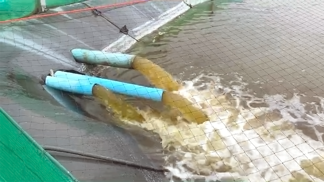 泰国北柳府 萨丽虾场排水