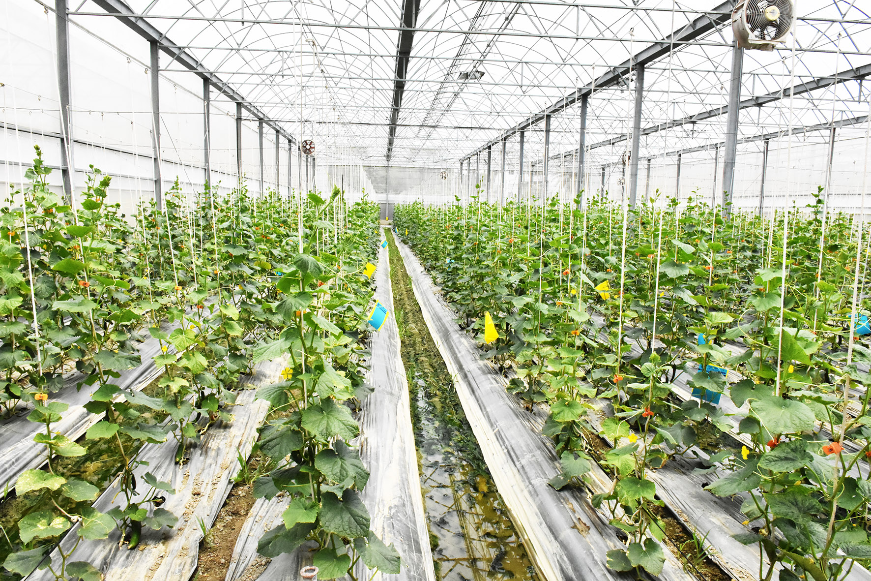 台湾屏东 循环农业污物废水处理