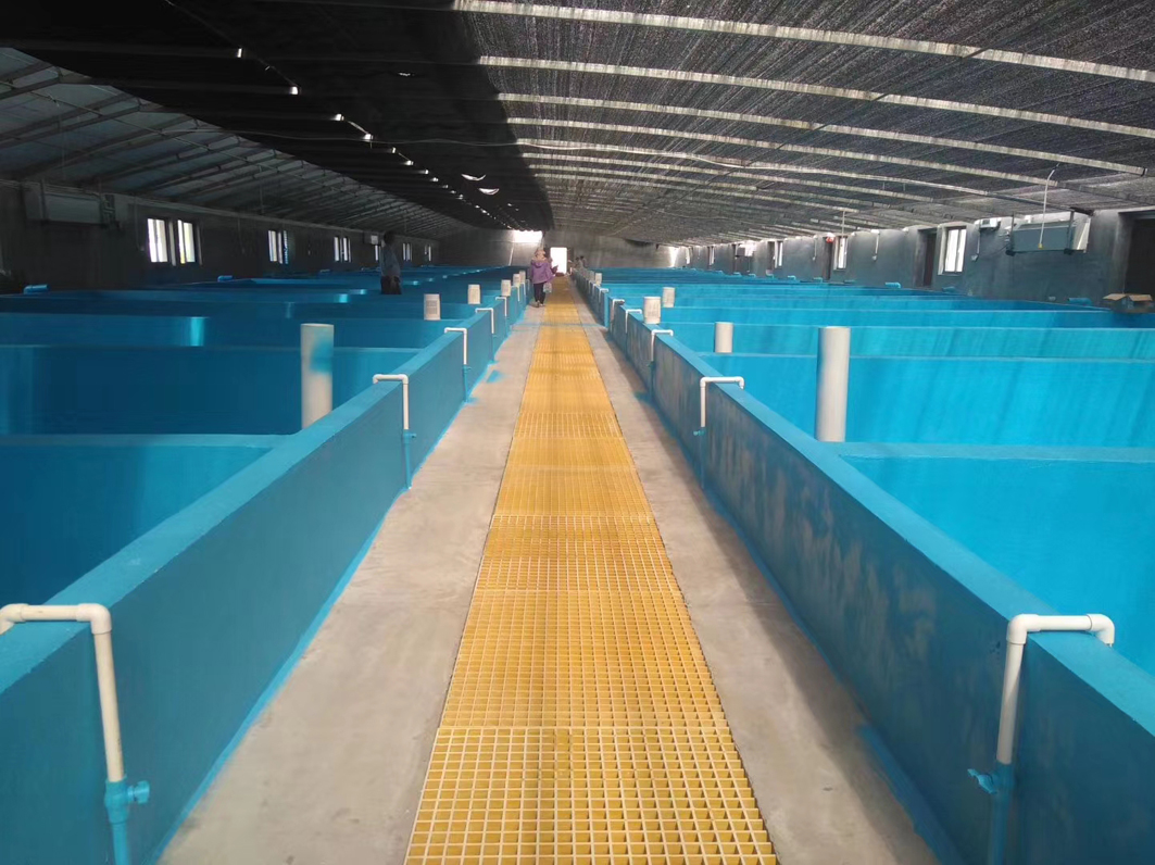 福建平潭 渔业养殖场循环水处理