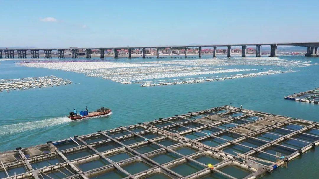 中国漳州 漳浦海水养殖项目
