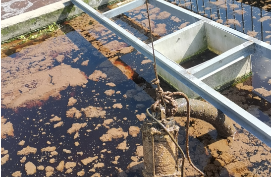 中国浙江 温州市生猪养殖污水提升设备更换